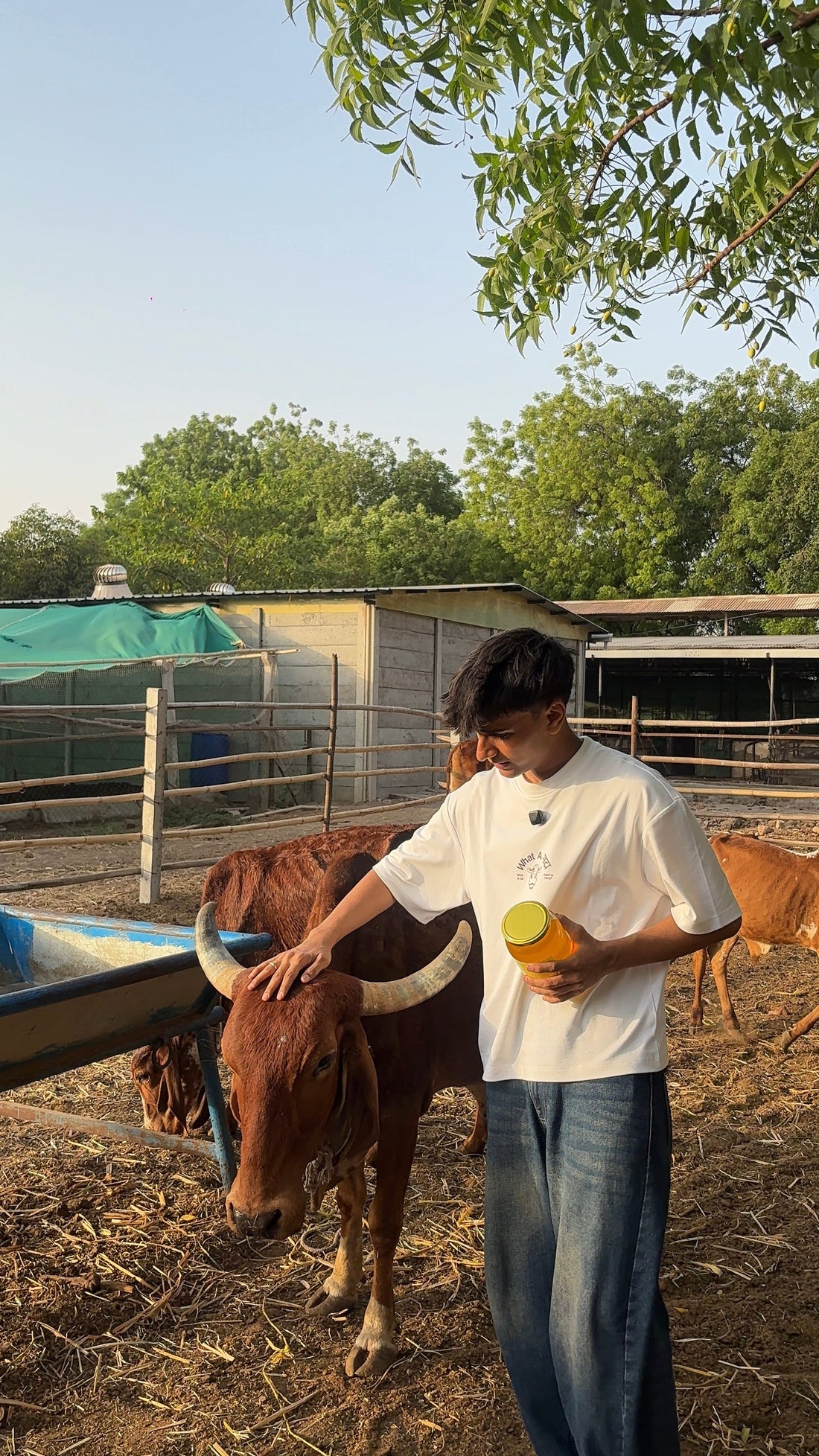 What Does No Oxytocin Dairy Actually Mean?